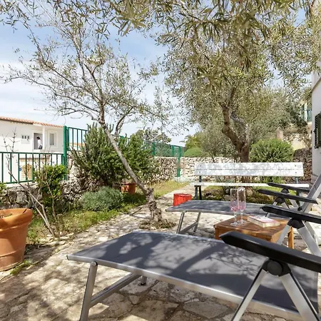 Olea * Razanj